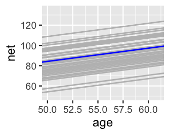 There are 36 gray model lines of net time (y-axis) vs age (x-axis), 1 for each runner. These all have the same slope, yet different intercepts which span a range of roughly 50 minutes. There is a blue model line that cuts through the center of the gray lines.